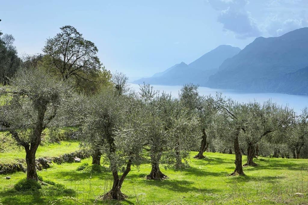 Villa Siresola Malcesine Dış mekan fotoğraf
